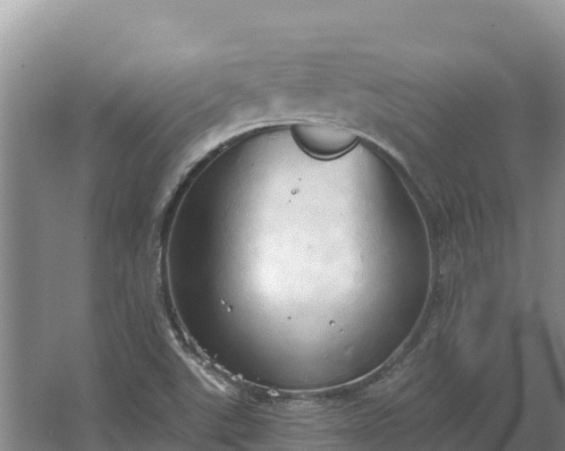 X0000067391507200604071740