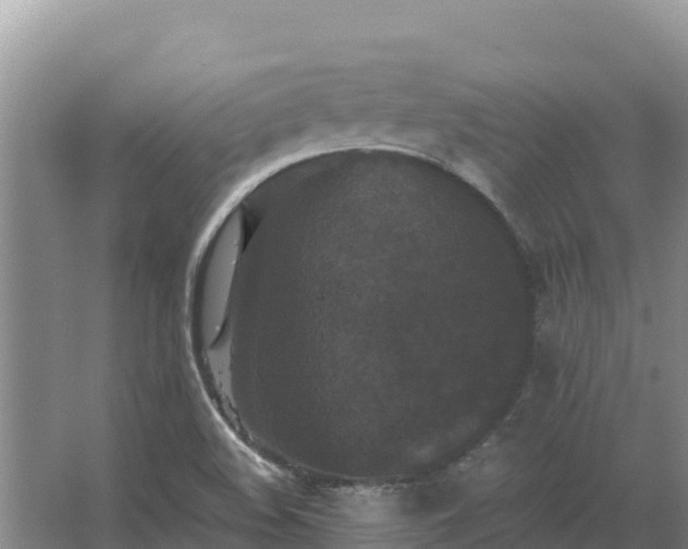 X0000067391508200604071740