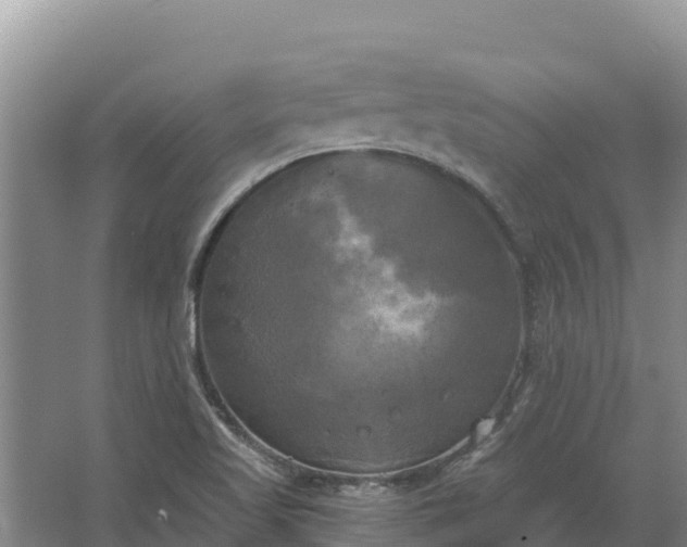 X0000067391509200604071740