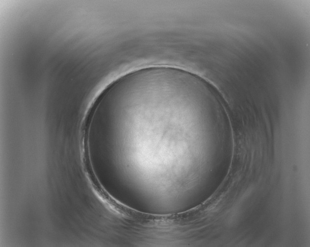 X0000067391511200604071740