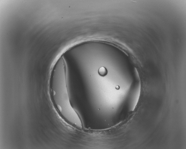 X0000067391512200604071740