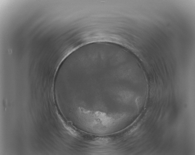 X0000067391513200604071740