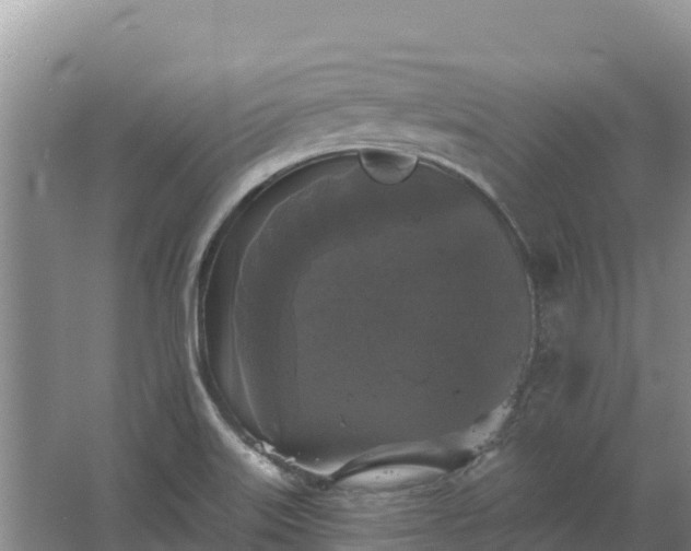 X0000067391515200604071740