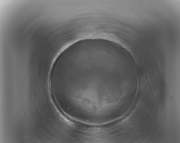 X0000067391517200604071740