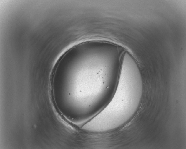 X0000067391518200604071740