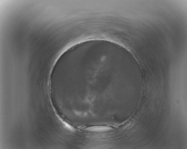 X0000067391519200604071740