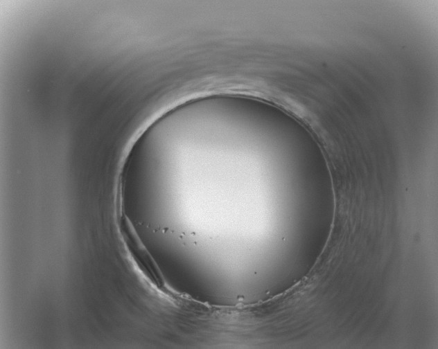 X0000067391520200604071740