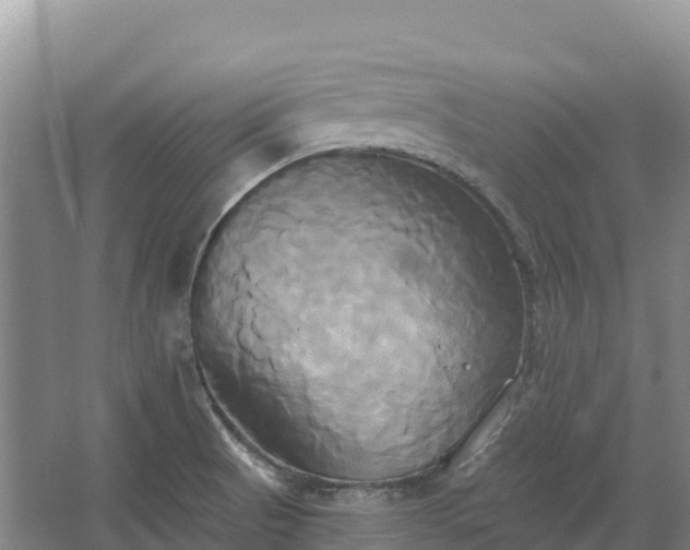 X0000067391521200604071740