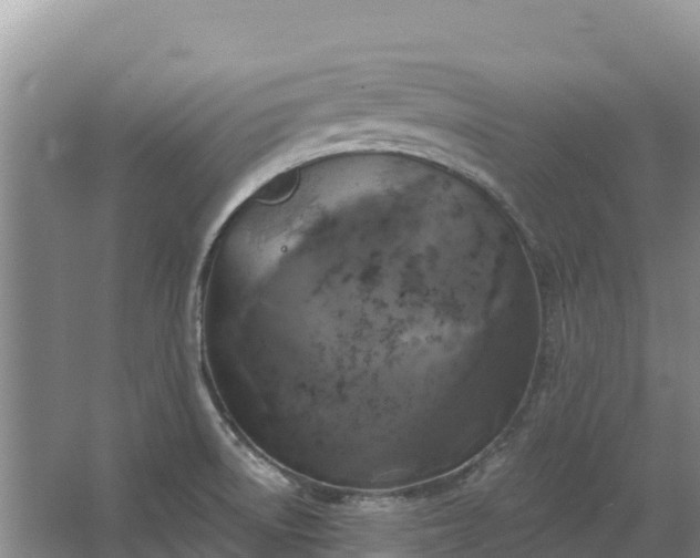 X0000067391522200604071740