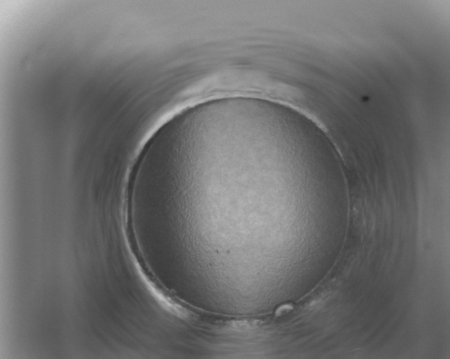 X0000067391523200604071740