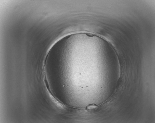 X0000067391524200604071740