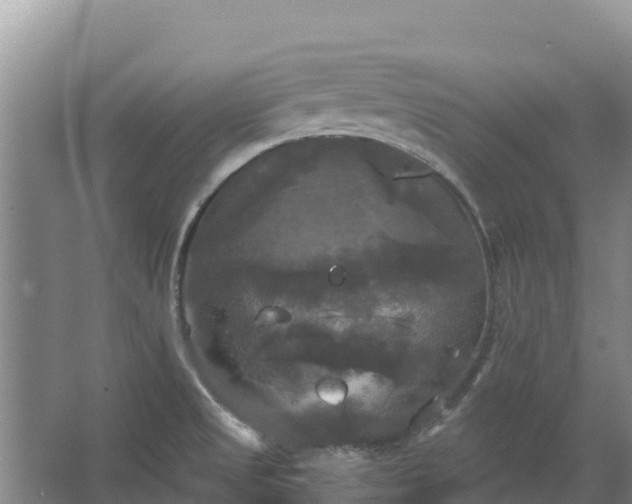 X0000067391525200604071740