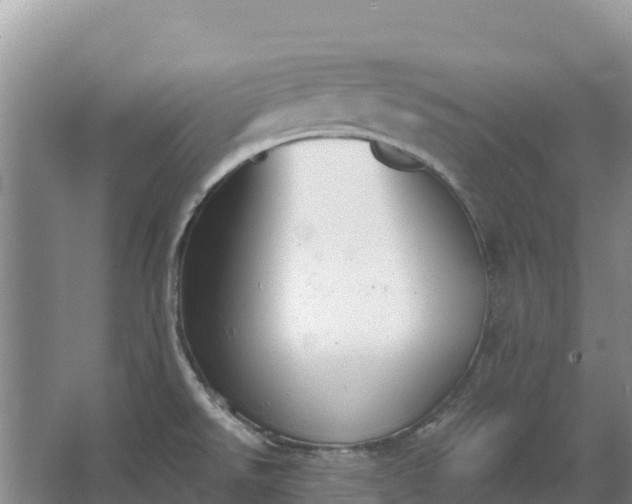 X0000067391526200604071740