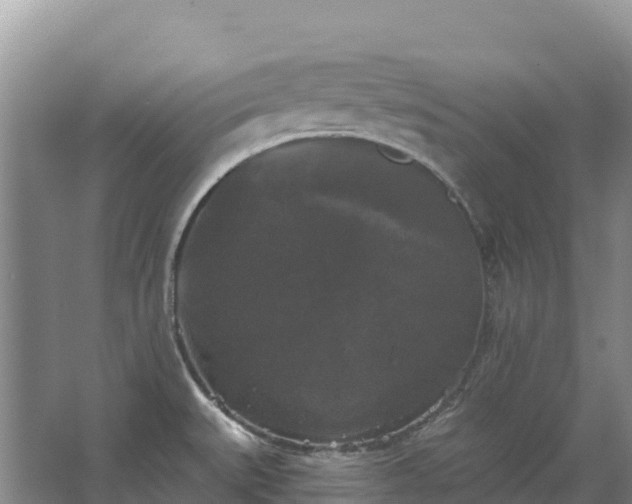 X0000067391527200604071740