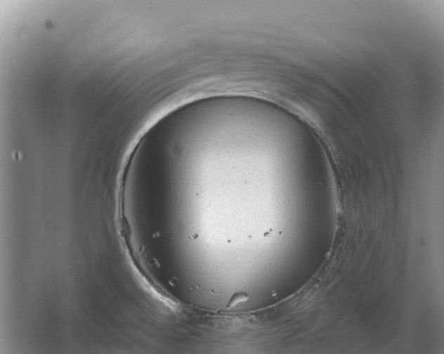 X0000067391528200604071740