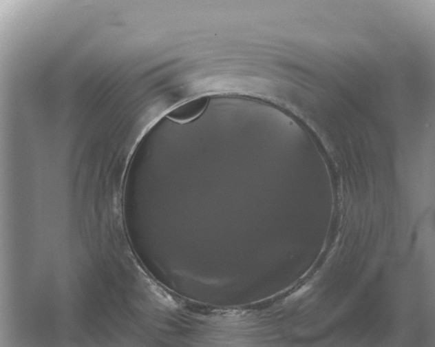 X0000067391529200604071740