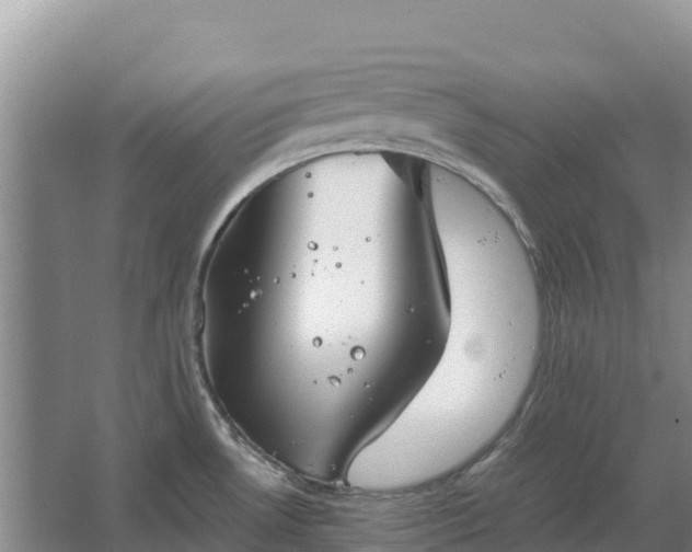 X0000067391530200604071740