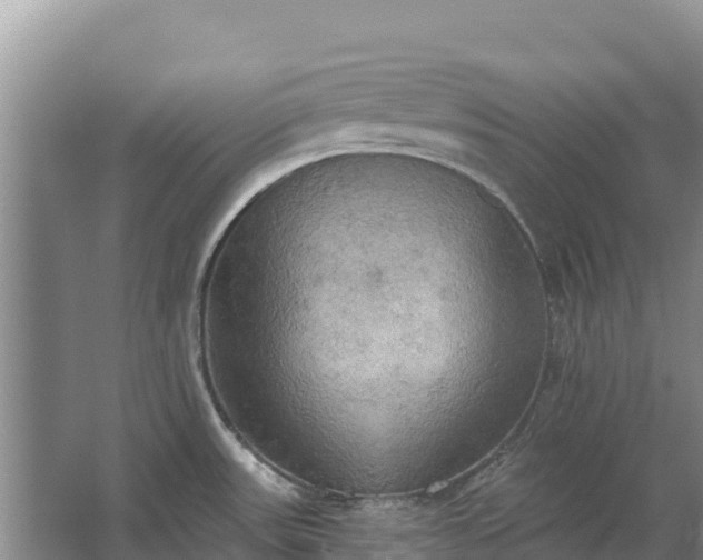 X0000067391531200604071740