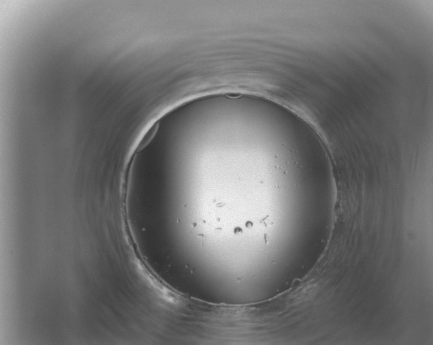 X0000067391532200604071740