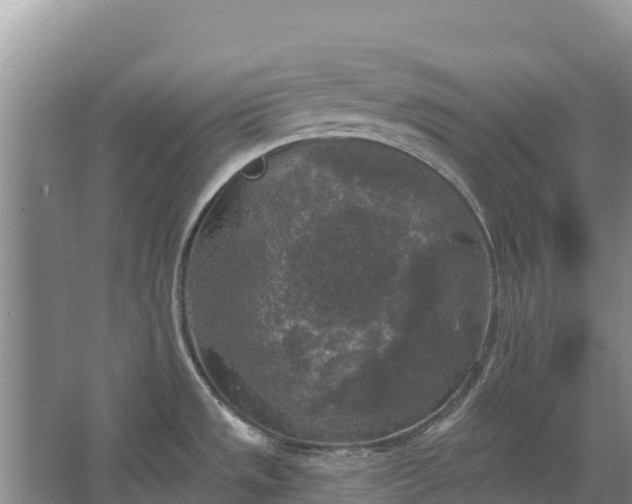 X0000067391533200604071740