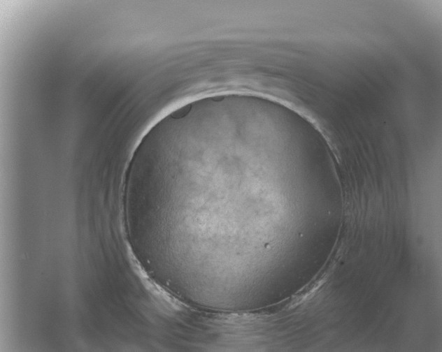 X0000067391534200604071740