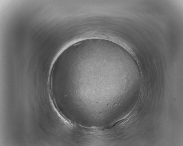 X0000067391536200604071740