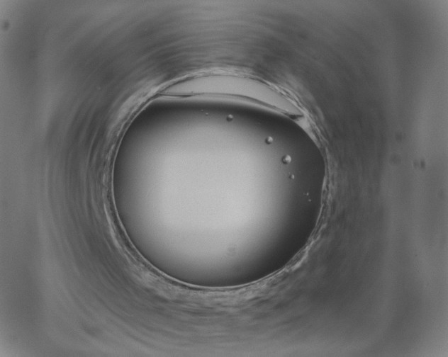 X0000067390001200604131943