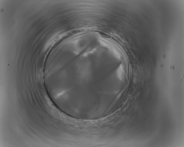 X0000067390002200604131943