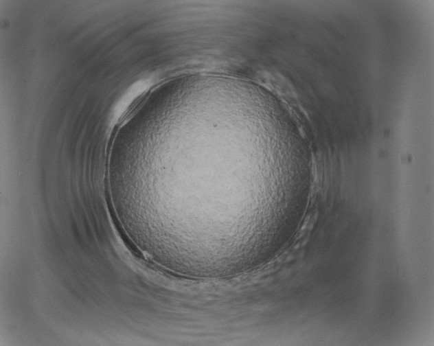 X0000067390003200604131943