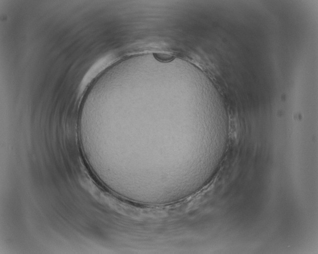 X0000067390004200604131943