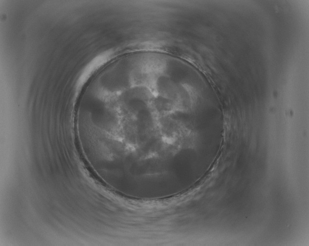 X0000067390006200604131943