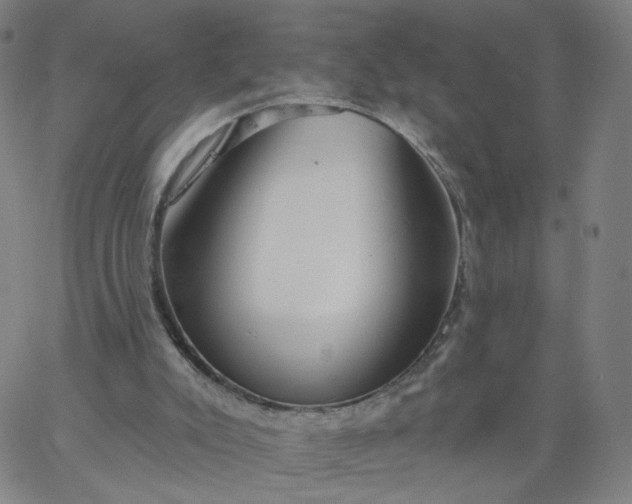 X0000067390007200604131943