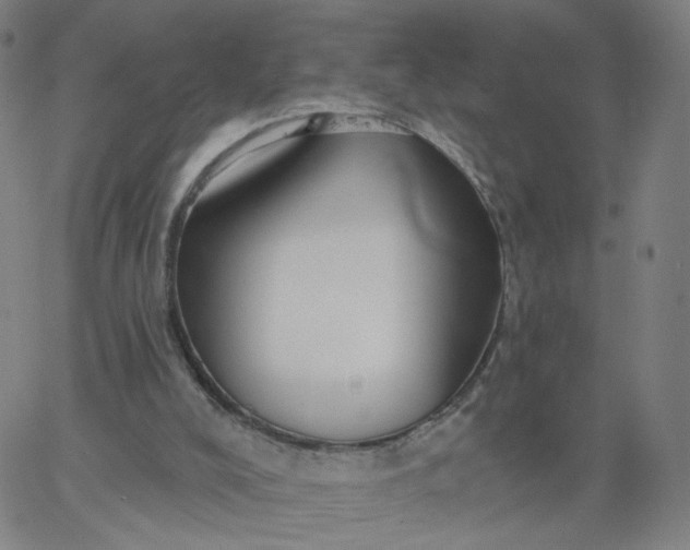 X0000067390008200604131943