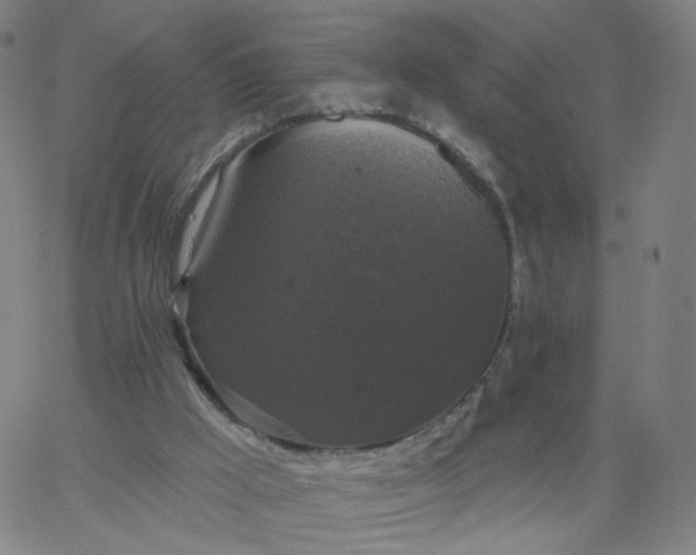 X0000067390009200604131943