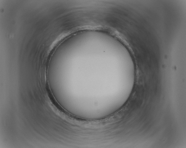 X0000067390011200604131943