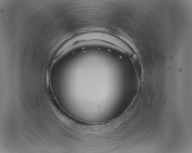 X0000067390013200604131943