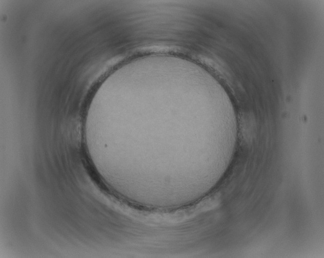 X0000067390016200604131943