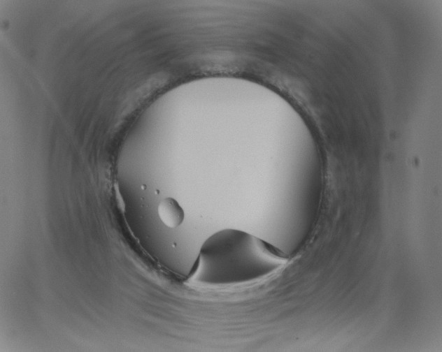 X0000067390017200604131943