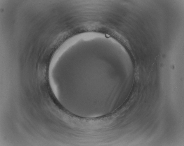 X0000067390018200604131943