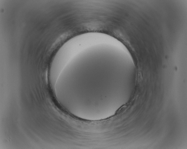 X0000067390019200604131943