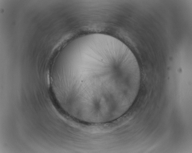 X0000067390020200604131943