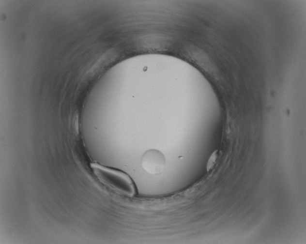 X0000067390021200604131943