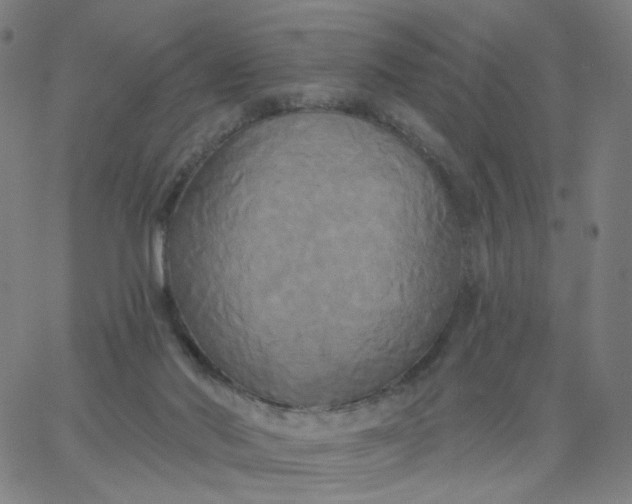 X0000067390022200604131943