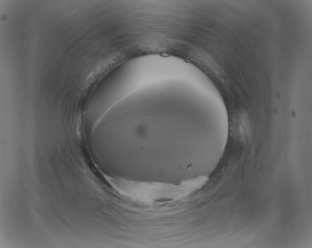 X0000067390023200604131943