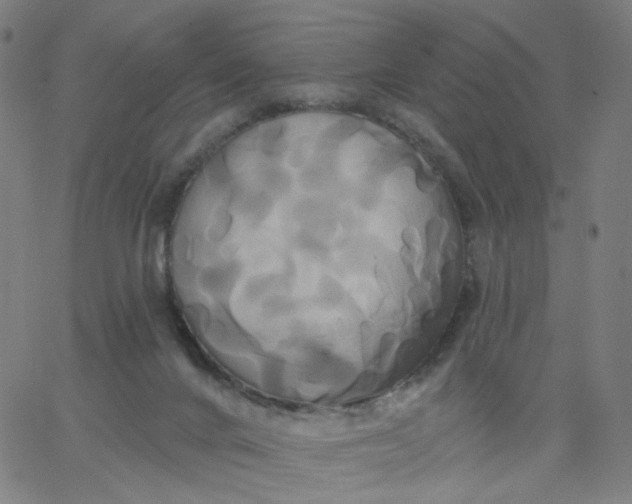 X0000067390024200604131943