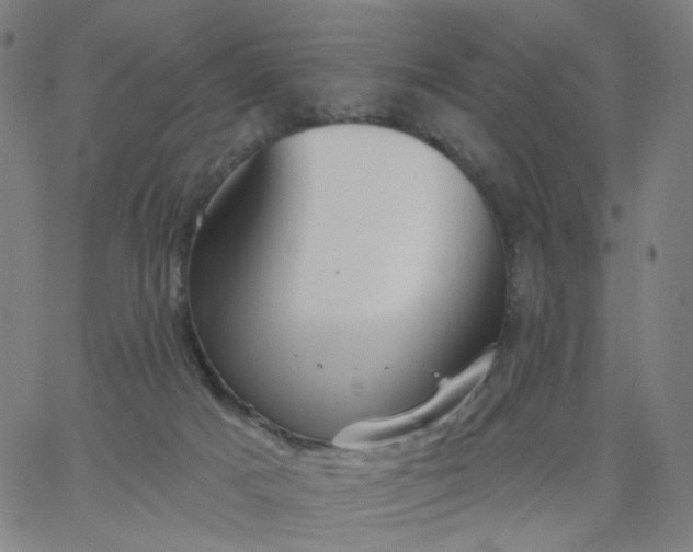 X0000067390025200604131943