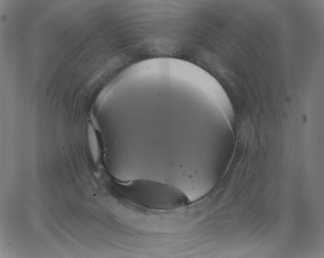 X0000067390027200604131943