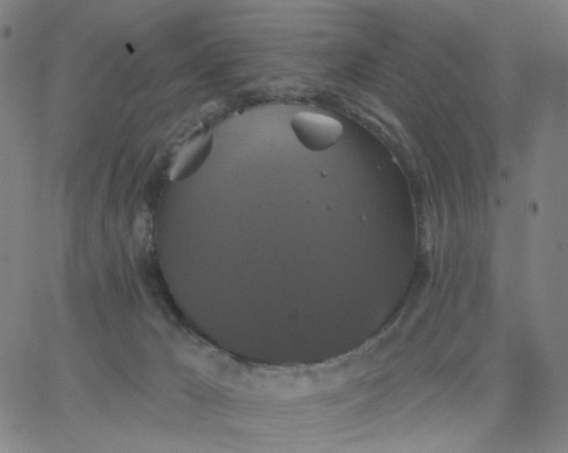 X0000067390029200604131943