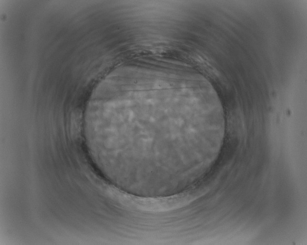 X0000067390030200604131943