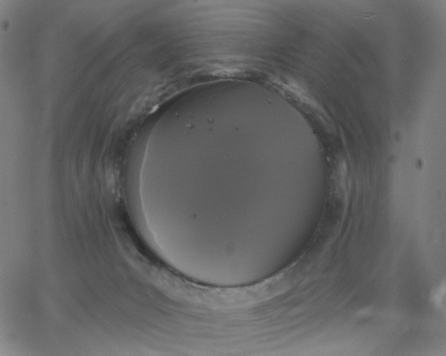 X0000067390031200604131943